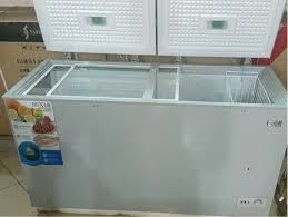 Nexus Inverter Double Door Freezer 250L